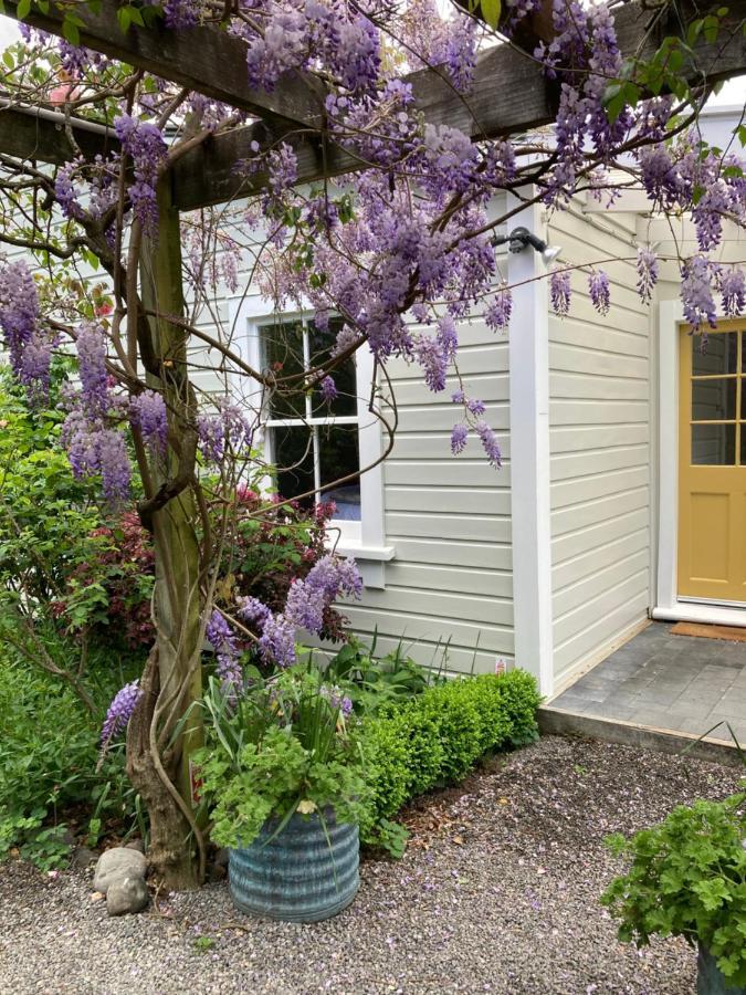 גרייטאון Country Bliss Cottage מראה חיצוני תמונה
